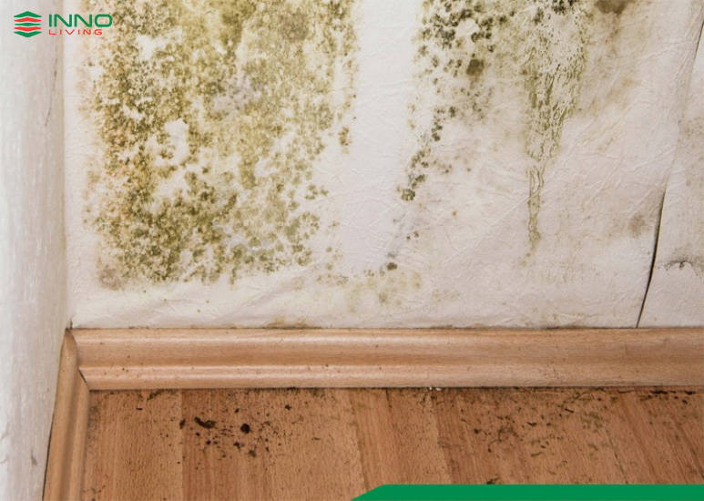 Xử lý ẩm mốc tường bằng Tấm ốp tường PVC Nano