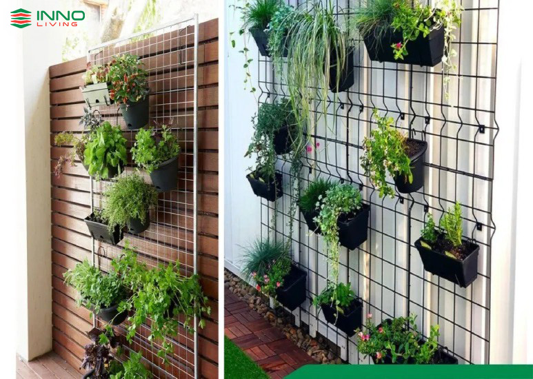 Giàn treo hoa ban công