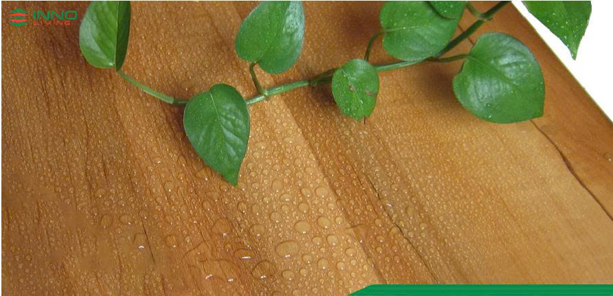 Sàn Vinyl Hèm Khóa SPC Cao Cấp 2 z7028284756284 1d2f8d4f00c7917297bdbcbe08aec250